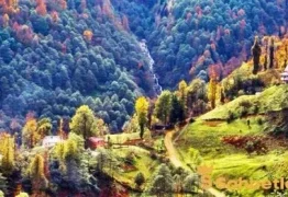 Trabzon Sohbet