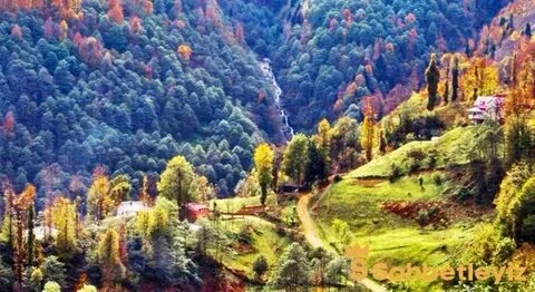 Trabzon Sohbet
