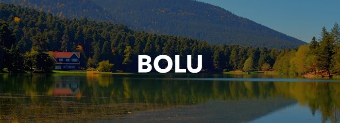 Bolu Sohbet