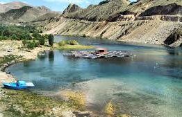 Elazığ Sohbet