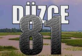 Düzce Chat Odaları