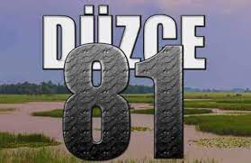 Düzce Chat Odaları