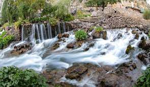 Tunceli Sohbet Siteleri